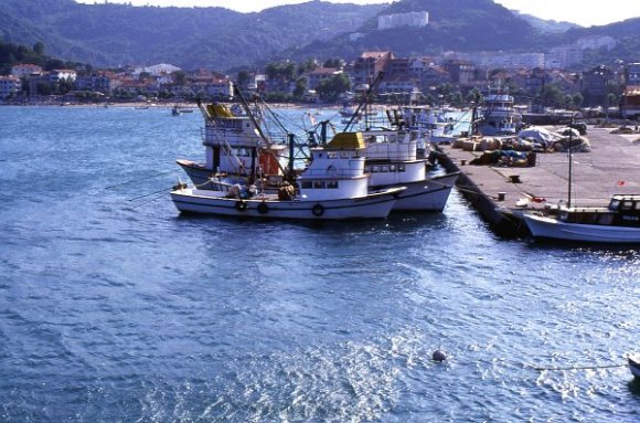 Fishing boats at the port.