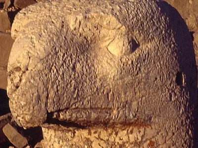 Colossal head of an eagle
