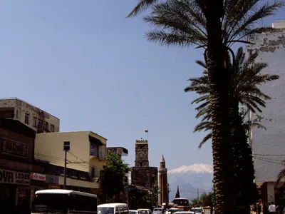 Clock Tower and Palms There is enough hot to grow up Palm trees.