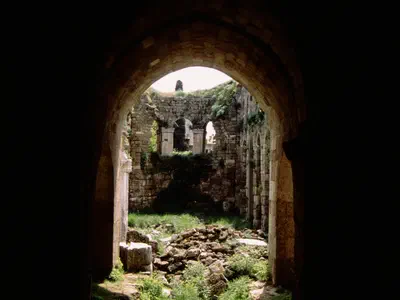 Garden view from inner side of mosque.
