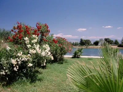 Titreyen gol is end of a branch of Manavgat stream.