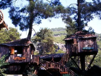 Today there are many tree houses in the area that you can stay.