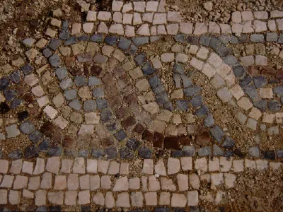 Mosaic figured floor
