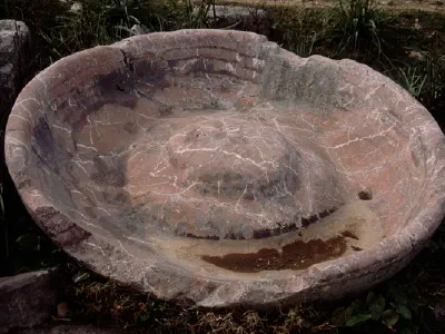 A bowl for collect water