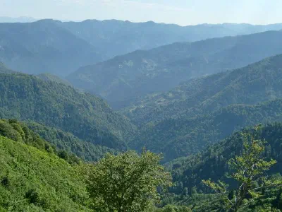 Macahel