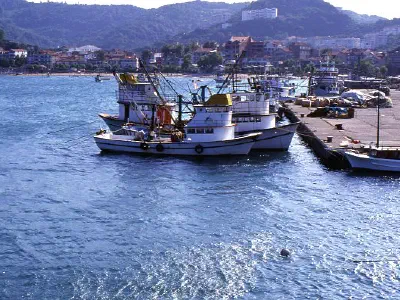 Fishing boats at the port.