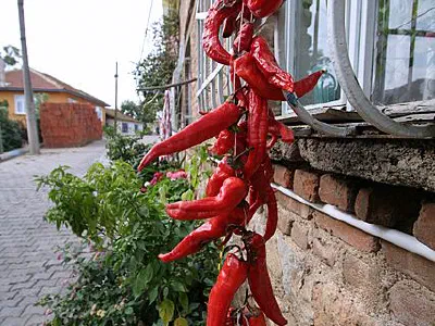 Paprika
