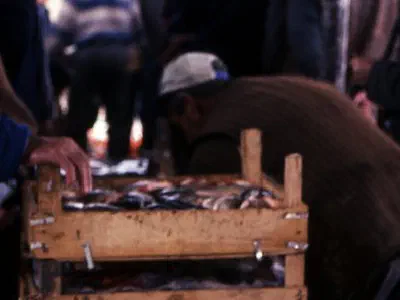 Fish auction