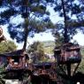 Antalya - Olympos - Tree houses