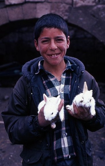 Boy with rabbits