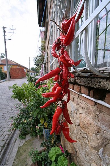 Paprika