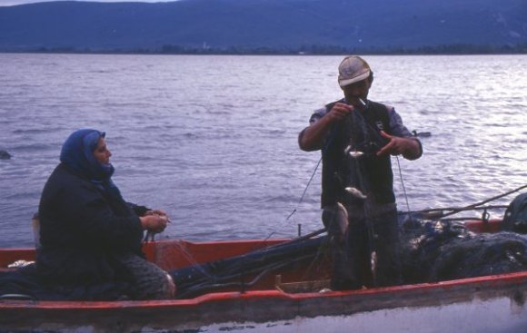 Fishing