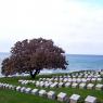 Beach Cemetery