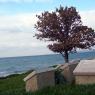Beach Cemetery