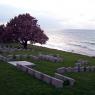 Beach Cemetery