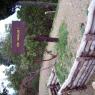 Gallipoli, Chunuk Bair - Turkish trenches