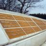 Martyr names