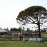 Gallipoli, Lone Pine - Lone Pine Cemetary at Anzac Day 2006