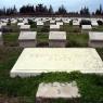 Gallipoli, Lone Pine - Gravestones