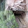 Lone Pine Trenches