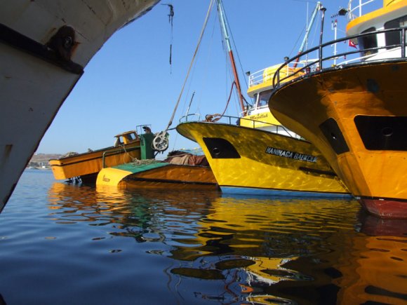 Foça - Fishermen boats