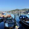 Foça - Small fishermen boats