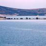 Foça - You can surf in Foça