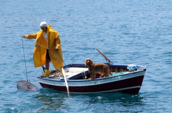 Marmaris - Local fisherman and fisherdog ;)