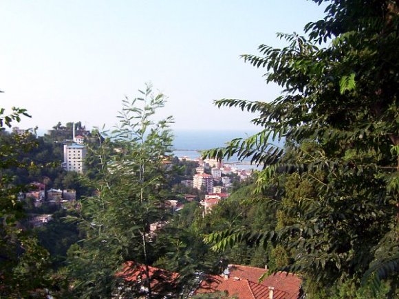 Rize