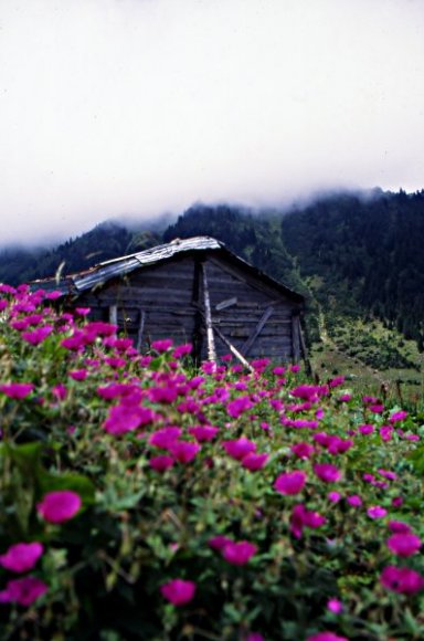 Kaçkarlar - A foggy day