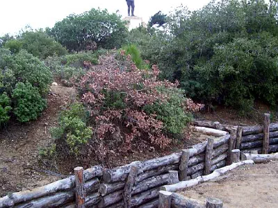 Turkish trenches