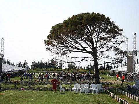 Lone Pine Cemetary & Memorial
