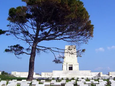 Gravestones under a lone pine.