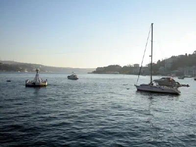 Bebek