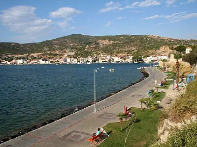 Shore