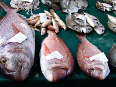 Fishes in fish market