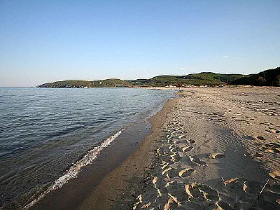 The beach