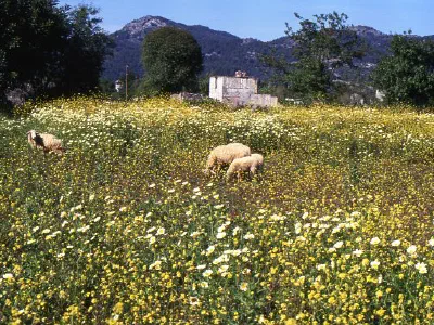 Spring in Kayaköy