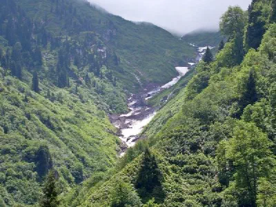 Ayder