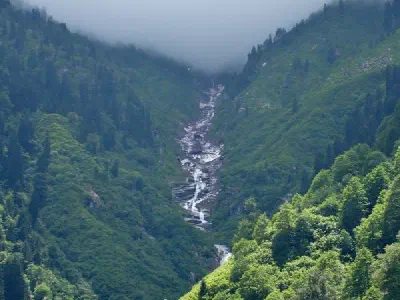 Ayder