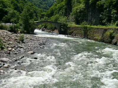 Çamlıhemşin