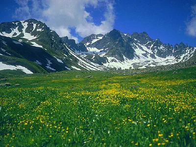 Dobe Düzü