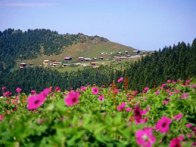 Sal Plateau