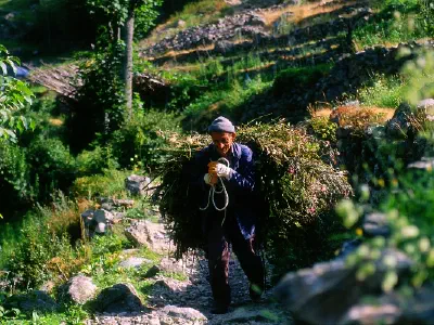 A working man in Yusufeli