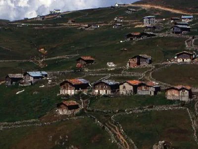 Houses in highland