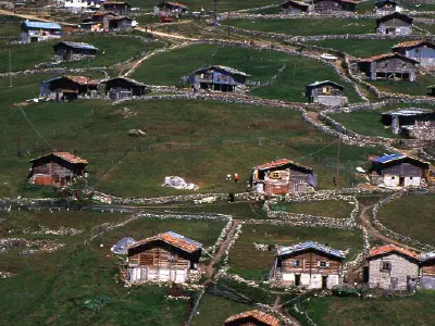 Houses in highland