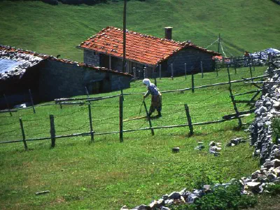 An old woman in her garden
