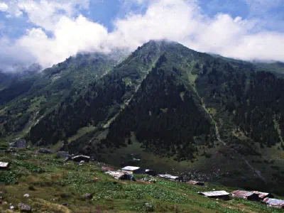 Houses in highland